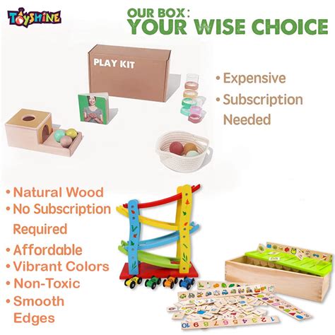 Toyshine Wooden Montessori Combo | Classification Box and Ramp Race