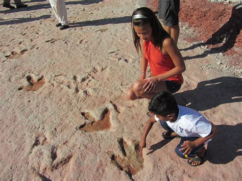 The Footprints Of A 150-Million-Year-Old Dinosaur Were Just Found In ...