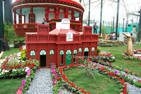 204 th Lalbagh flower show august 2016 photos-70th independence day ...