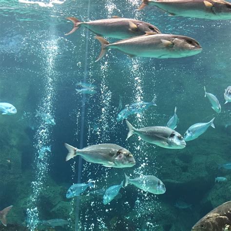 Gournes Tourism (2024): All You Need to Know Before You Go