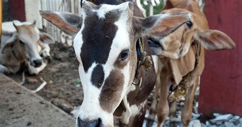 "Sampath Speaking" - the thoughts of an Insurer from Thiruvallikkeni ...