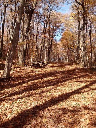 Oka Photos - Featured Images of Oka, Quebec - Tripadvisor