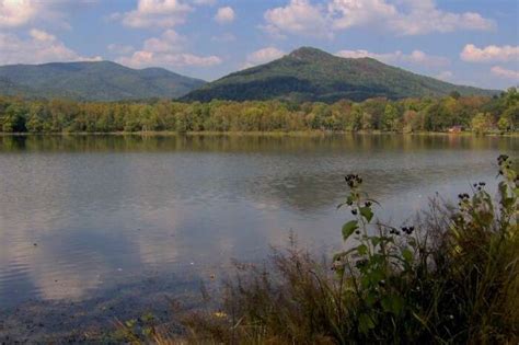 10 Beautiful Lakes In Czech Republic For A Soothing Vacay!