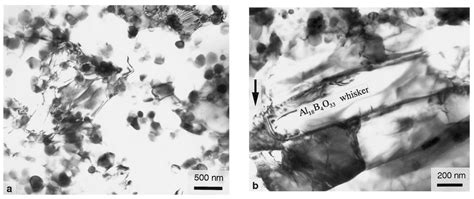 Elevated Temperature Tensile Creep Behavior of Aluminum Borate Whisker ...