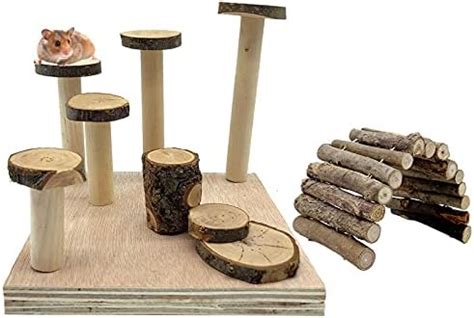 Buy Tfwadmx Hamster Wood Playground with Bridge Steps Climbing Activity ...