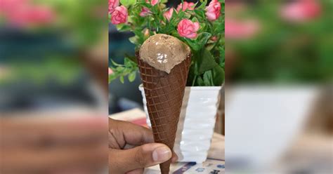 With More Than +35 Unique Flavours: Drop By Yollops To Explore Their ...