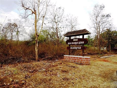 KALI ADVENTURE CAMP (Dandeli, Karnataka) - Campground Reviews, Photos ...