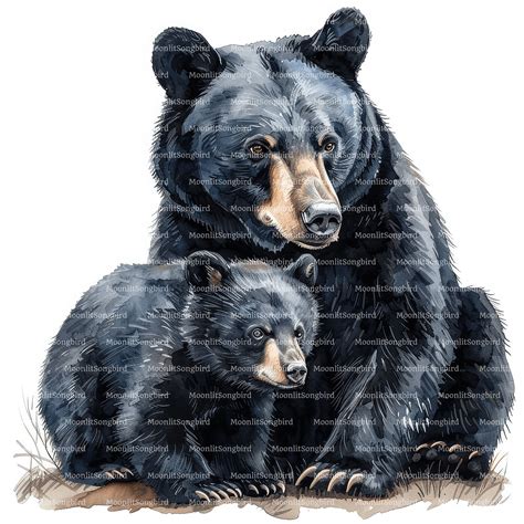 10 Black Bear and Cub Clipart, Digital Download, Printable Watercolor ...