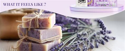 Lavender Car Perfume – 10ML | Car Perfumes Luxury Hanging Diffuser ...