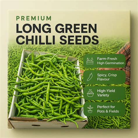 Chilli Long Green Seeds (Pack of 20) – KADOrganic