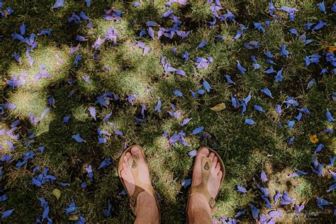 Image result for Spring Extreme Challenge