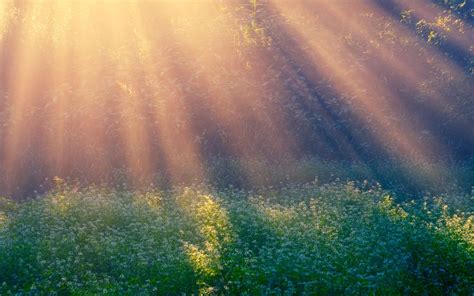 How Sunlight Can Help You Live Well with Parkinson