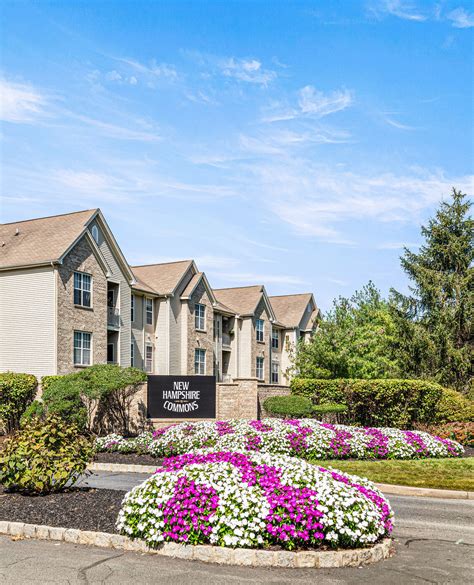 Top or Best Postcard Design Agencies and Companies in Lakewood, New Je ...