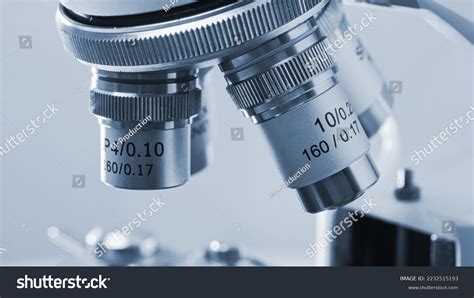 Image result for Microscope Magnification