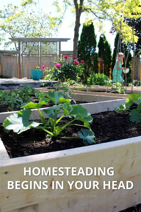 What Is Homesteading? - Northern Nester