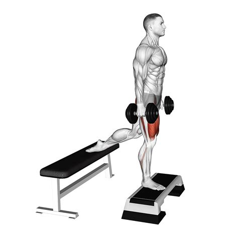5 Best Bulgarian Split Squat Variations (with Pictures!) - Inspire US