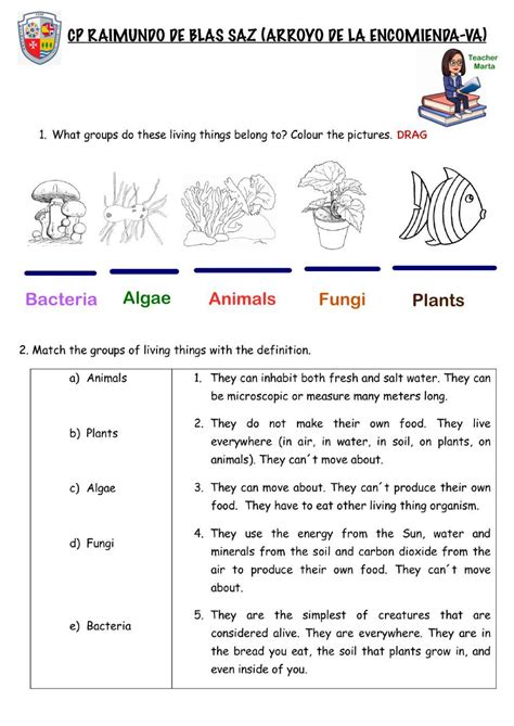 Animal Classification Worksheet 的图像结果