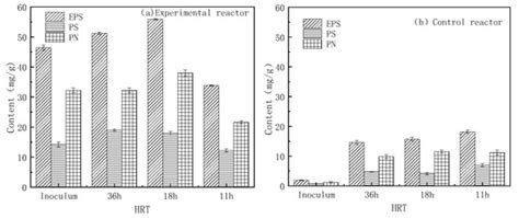 C058 and Other Functional Microorganisms Promote the Synthesis of ...