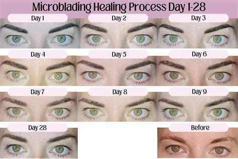Micro Blading Process 的图像结果