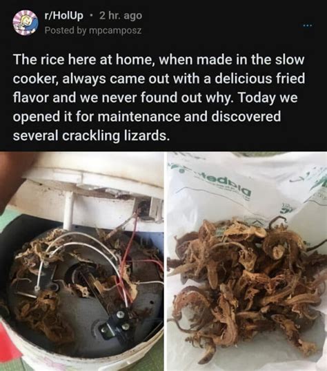 Image result for Cursed Food Compilation