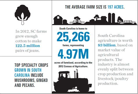 South Carolina Agriculture 的图像结果