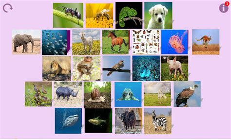 Image result for Simple Tree JavaScript