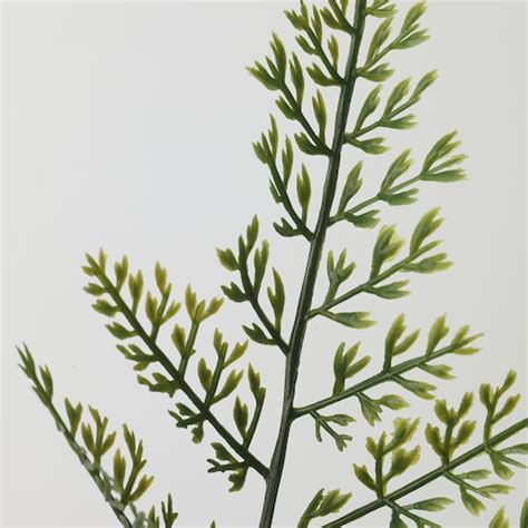 SMYCKA artificial leaf, in/outdoor/fern green, 53 cm (20 ¾") - IKEA
