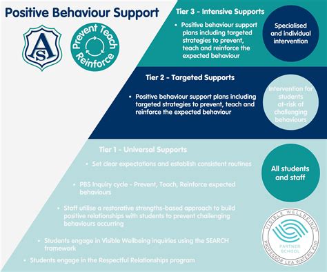 Image result for Positive Behaviour Support Example