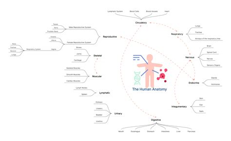 20+ Creative Concept Map Examples for Students | Boardmix