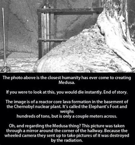 Image result for Terrifying Real Pictures