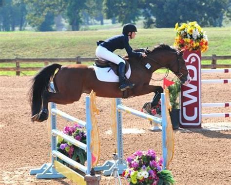 Texas Shootout – “AA” Hunters/Jumpers, Texas Rose Horse Park, Tyler, 3 ...