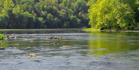 Image result for River Table Project