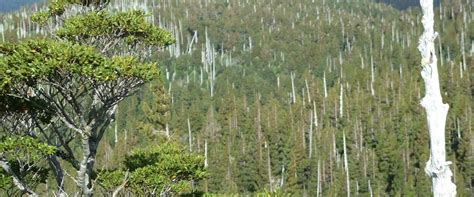 Comuna de La Union Tourism (2023): Best of Comuna de La Union - Tripadvisor