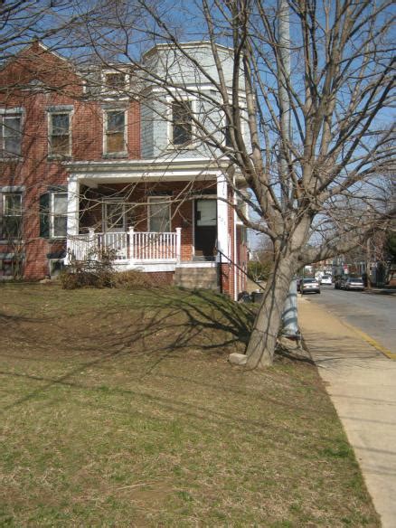 Trees on Private Property vs. Public Right-of-Way | Wilmington, DE