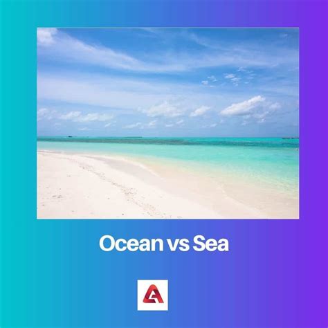 Sea Ocean 的图像结果