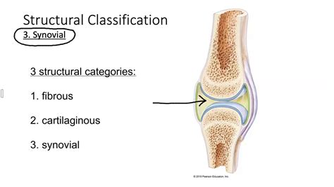 Three Types of Structural Classifications of Joints 的图像结果