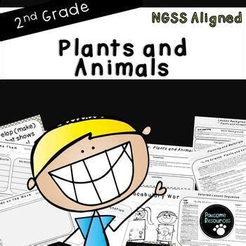 Grade 2 Science Lesson 的图像结果