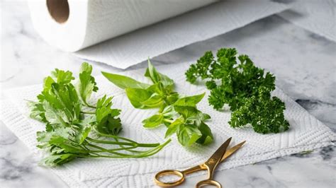 Keep Your Herbs Fresh For Weeks With These Simple Hacks