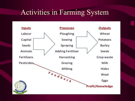 Intro to Farming Systems 的图像结果