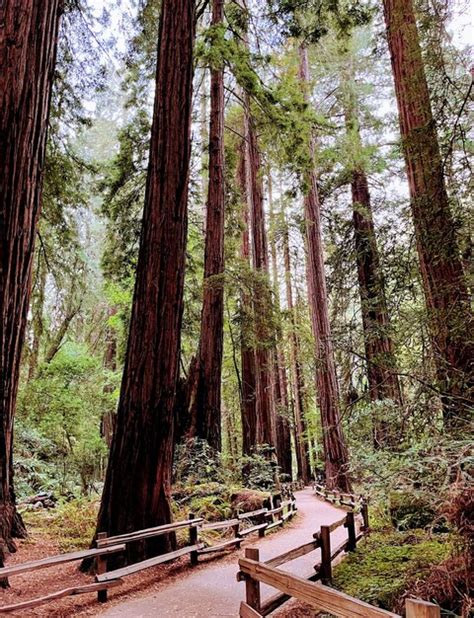 Most Beautiful Scenery of Nature 的图像结果