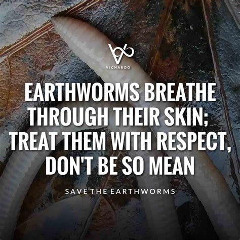 Earthworms breathe through their skin; treat them with respect, don't be so mean | Save ...