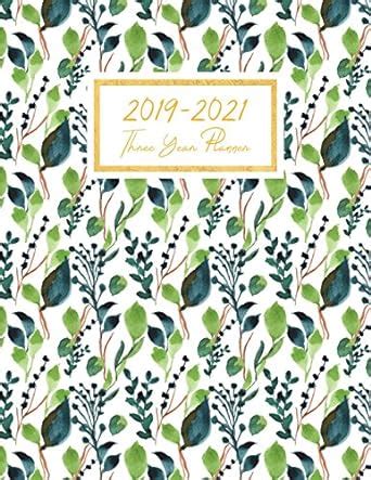 2019-2021 Three Year Planner: 36 Monthly Planner Calendar Schedule ...