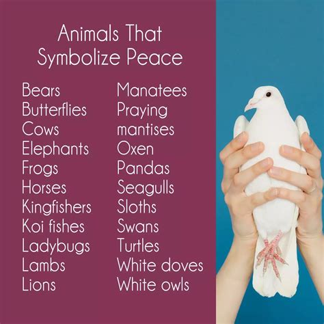 21 Animals That Symbolize Peace | Small wave tattoo, Animal symbolism ...