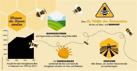 Was Passiert Wenn Man Bienen Tötet