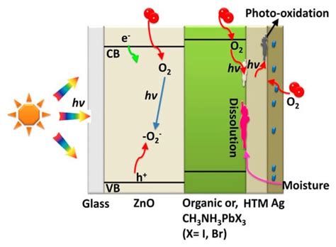 Encapsulation of Organic and Perovskite Solar Cells: A Review