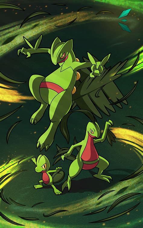 Image result for Treecko Full Evolution