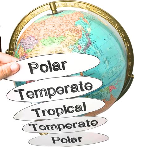 Teaching Climate Zones: Polar, Temperate, & Tropical