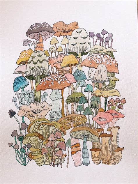 Image result for GI Drawing