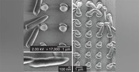 Image result for Two-Photon Polymerization