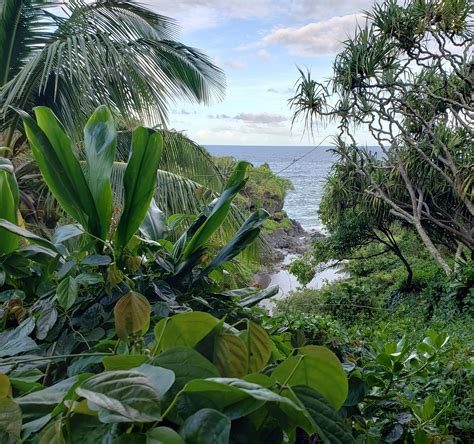 Our earth is amazing! Haleakala State Park [3211x3008] [OC] : r/EarthPorn